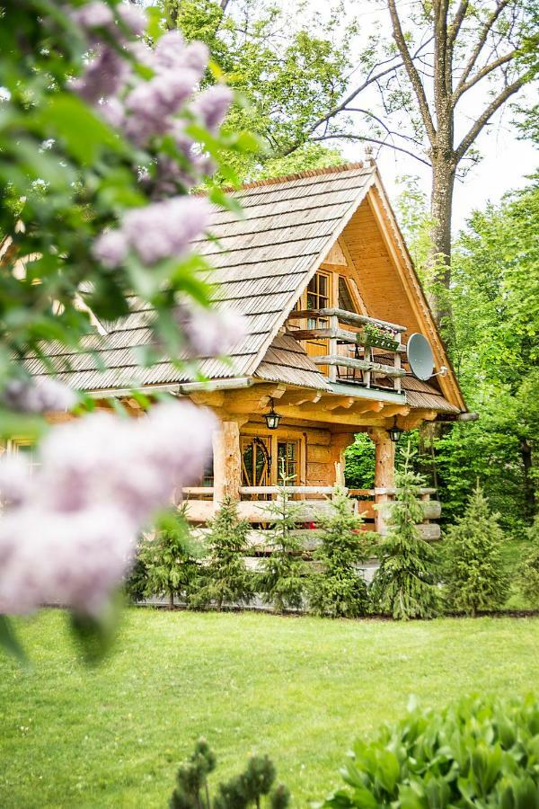 Klimkowka Villa Zakopane Exteriör bild